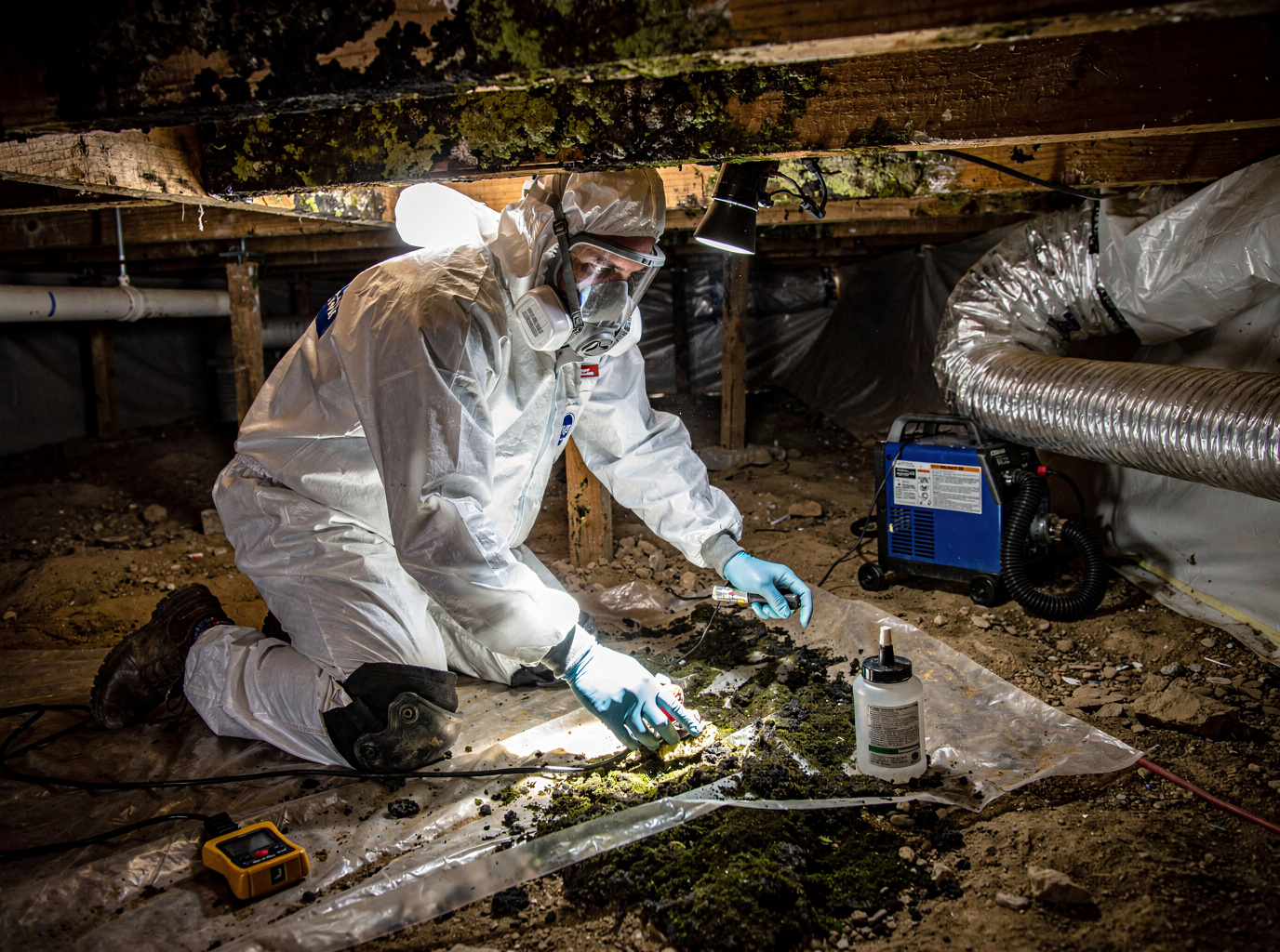 crawl space mold removal in Pinon Hills